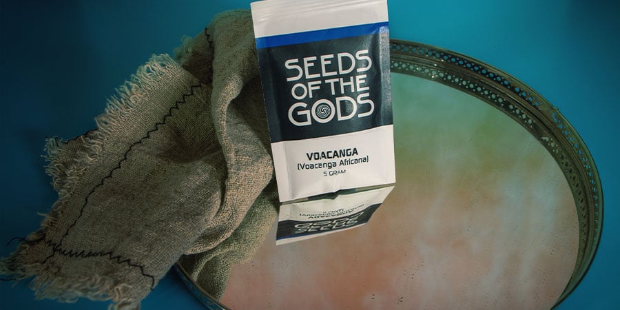 O que é Voacanga Africana?
