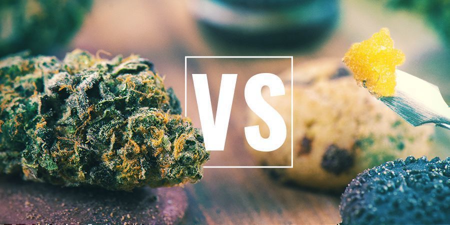 Flor de canábis vs comestíveis vs concentrados