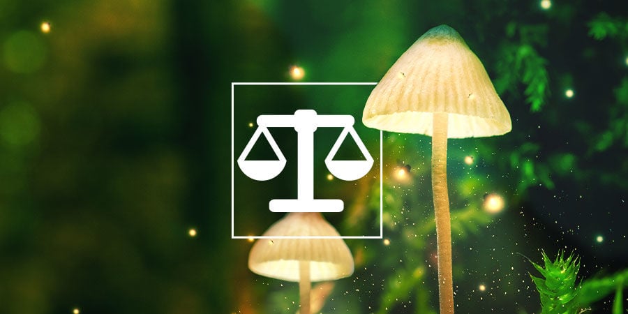Como pesar e dosear psicadélicos