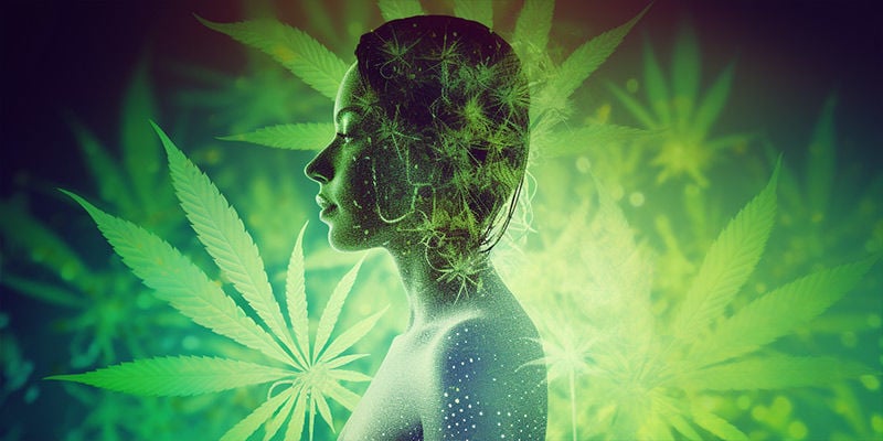 Durante quanto tempo permanece o CBD no organismo?