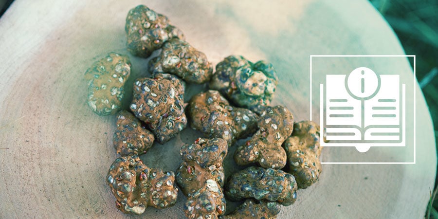 Tudo o que precisa de saber sobre trufas mágicas