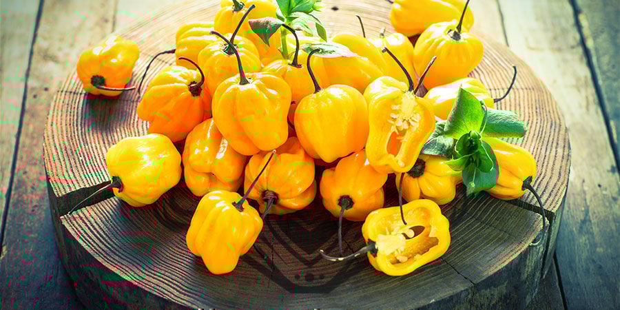 Pimento Habanero