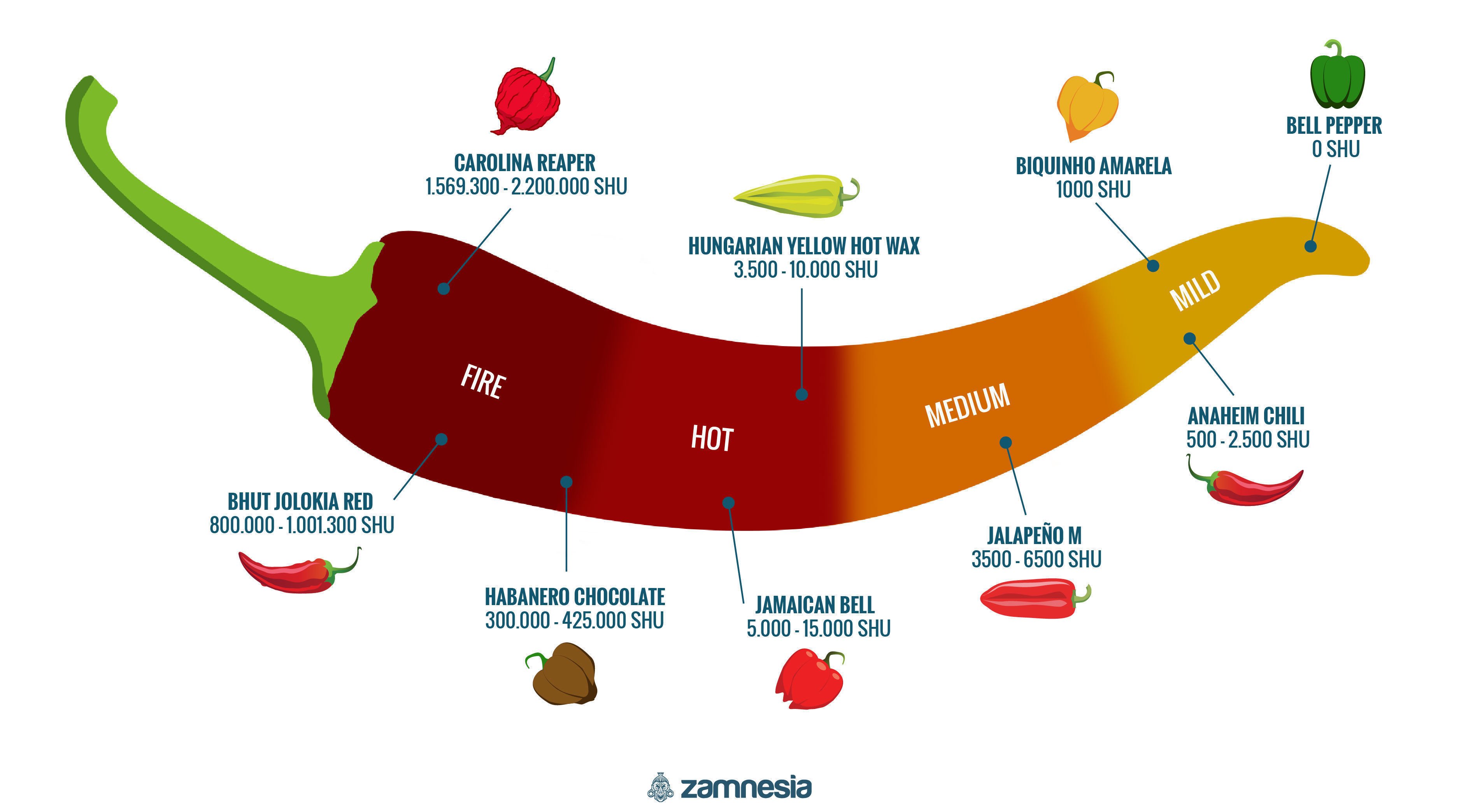 Infográfico de pimentos picantes