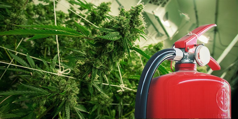 Prevenir incêndios na área de cultivo