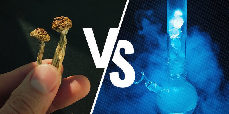 Qual é a diferença entre smartshops e headshops?