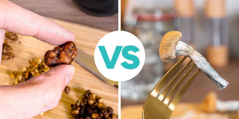 Consumir trufas mágicas vs cogumelos mágicos
