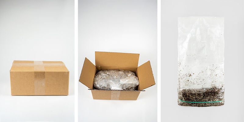 O que está incluído no Zamnesia Ready-2-Grow Bag?