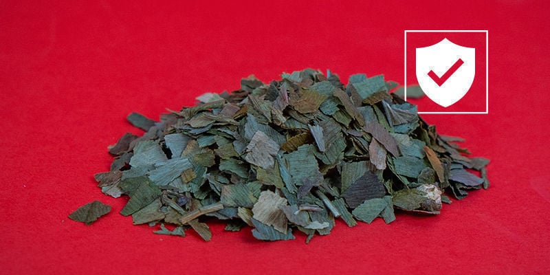 É seguro usar Ginkgo biloba?