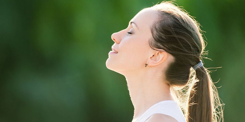 Para que serve o Ginkgo biloba?