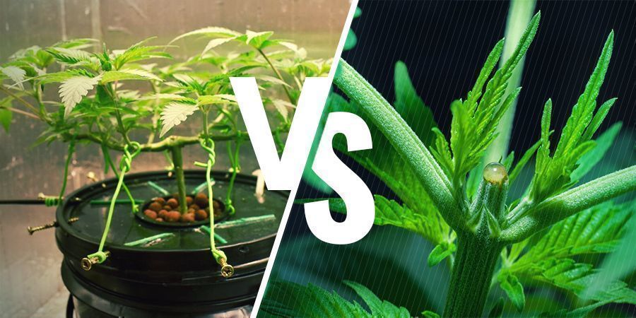 Existe diferença entre LST e HST?
