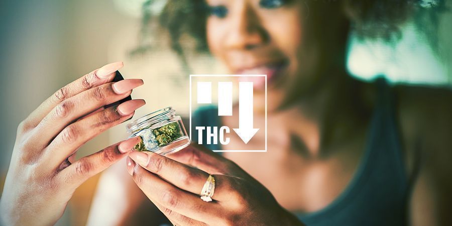 Efeitos da cannabis ruderalis