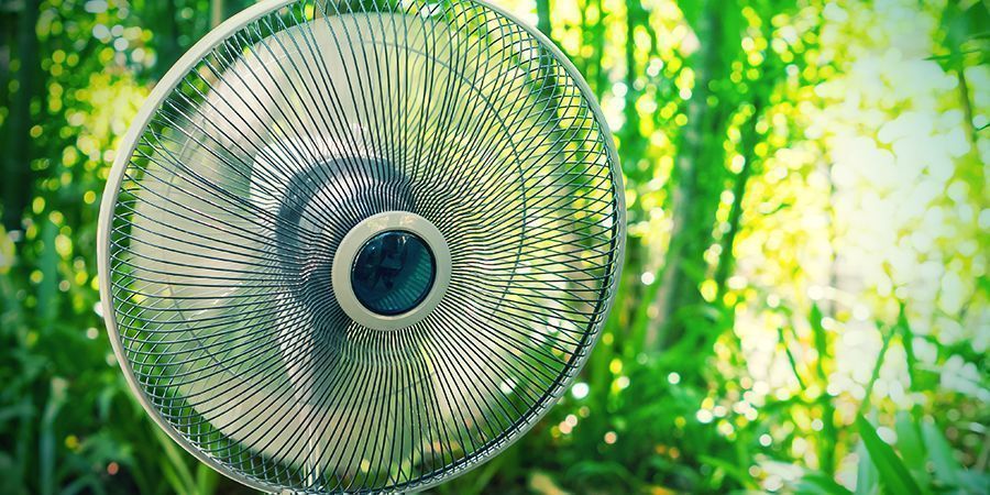 Os ventiladores oscilantes mais baratos podem encravar após apenas duas ou três colheitas (#11)