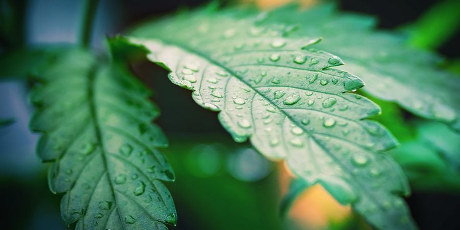 O que é a HR (Humidade Relativa)?