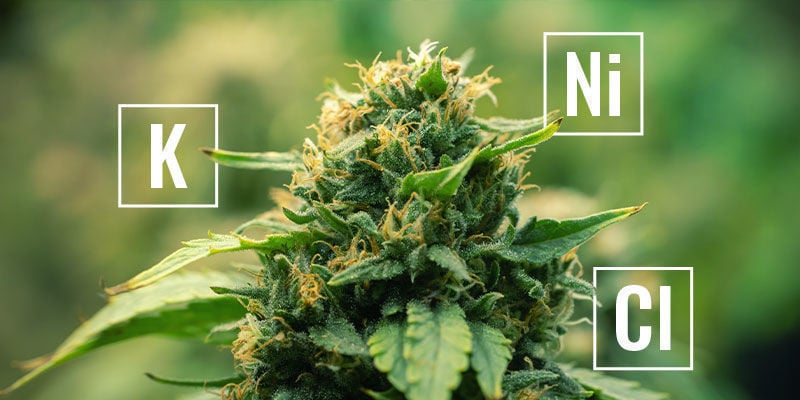 O que são nutrientes móveis nas plantas?