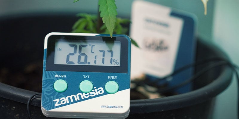 Disponibilidade de nutrientes no cannabis: Temperatura