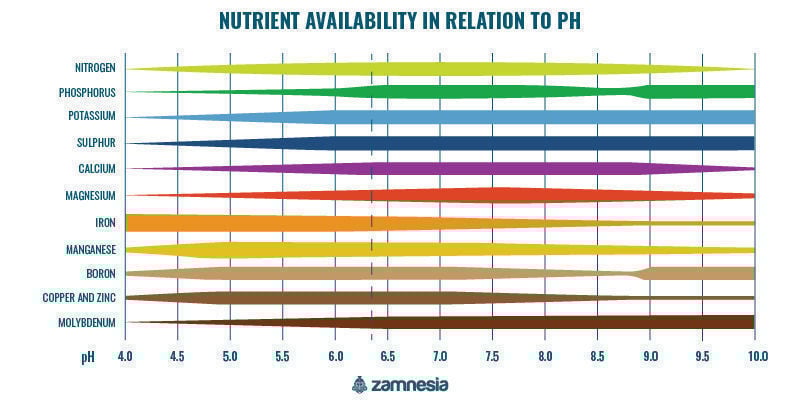Disponibilidade de nutrientes em função do pH