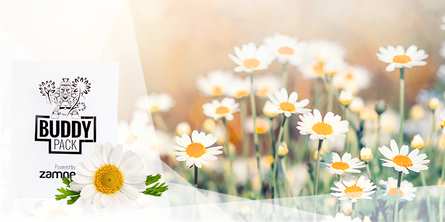 Atraia insetos benéficos