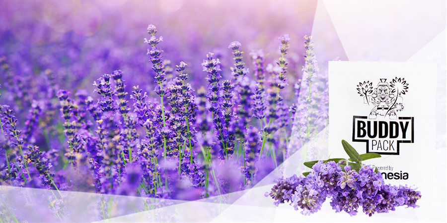 Dissuadir insectos nocivos