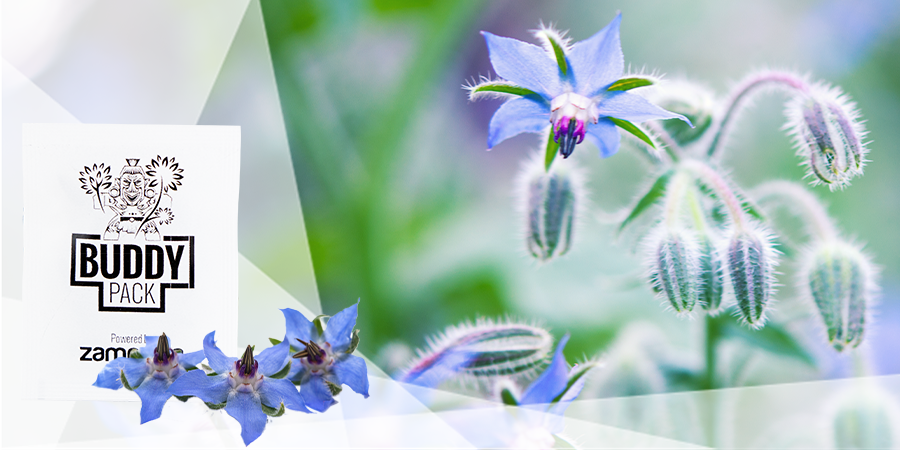 Fornece nutrientes e melhora a estrutura do solo