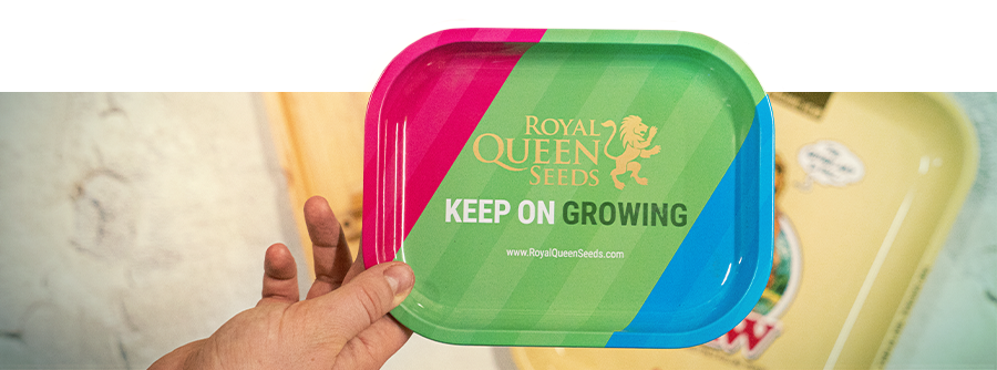 Tabuleiros de enrolar