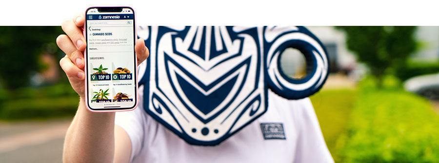 Comprar sementes de canábis na Zamnesia Comprar sementes de canábis na Zamnesia