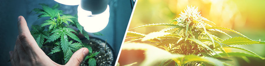 Indoor Vs Outdoor Indoor vs Outdoor