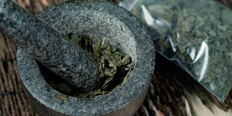 Métodos dos índios Mazatecas