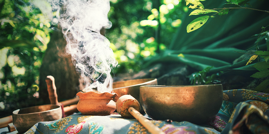 A história de Salvia divinorum