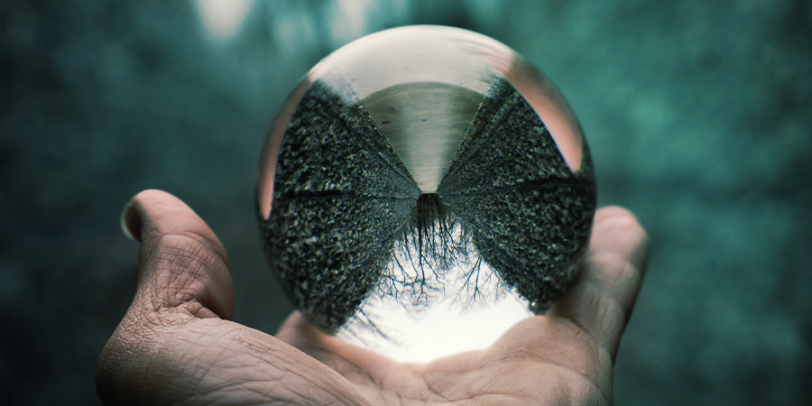 Quais são os efeitos da Salvia divinorum?