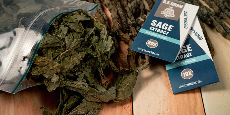 Quais os tipos de sálvia disponíveis?