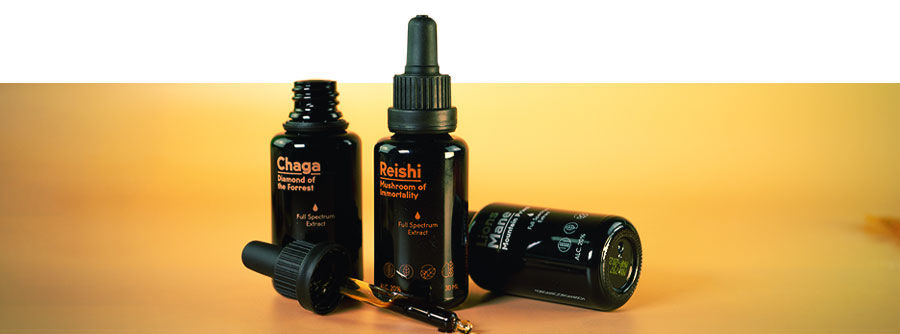 Que suplemento de cogumelos será o mais indicado para mim