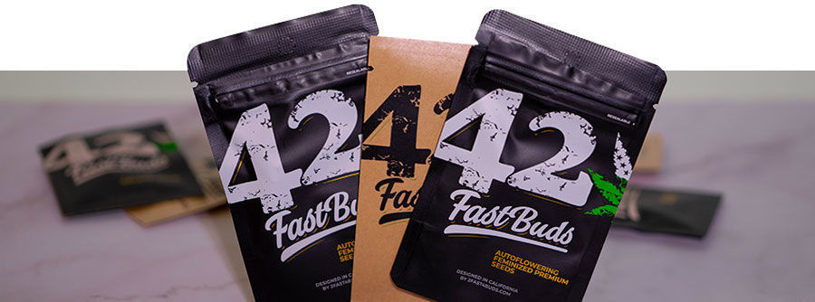 Informação sobre sementes de canábis FastBuds