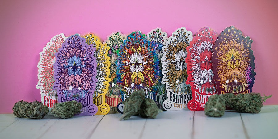 Variedades de canábis premiadas Exotic Seed