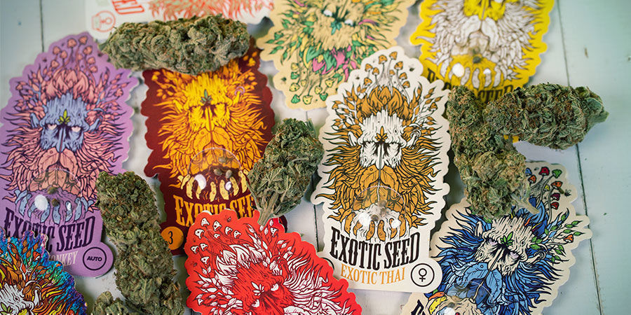 Exotic Seed Cannabis Seeds Package