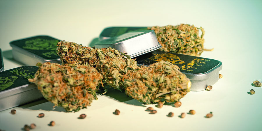 O que torna a G13 Labs diferente? O que torna a G13 Labs diferente?