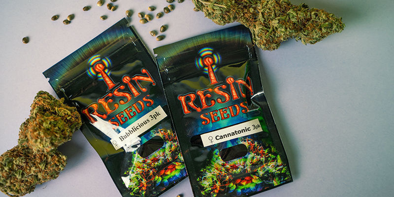 How Are Resin Seeds Cannabis Seeds Packaged? Resin Seeds Packaging