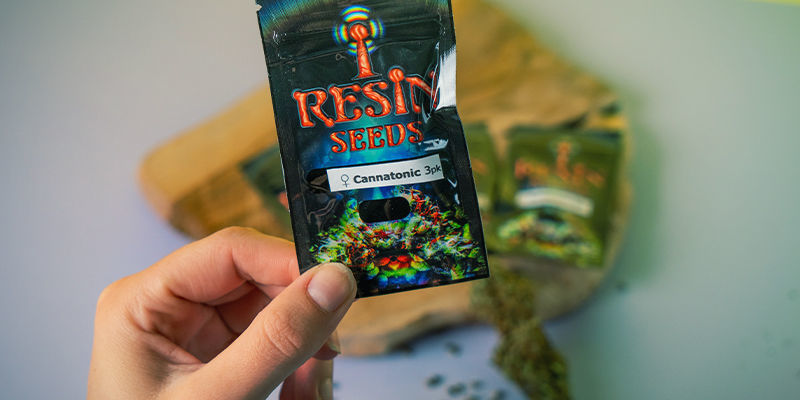 Resin Seeds: Fundadores do Movimento CBD Resin Seeds: Fundadores do Movimento CBD