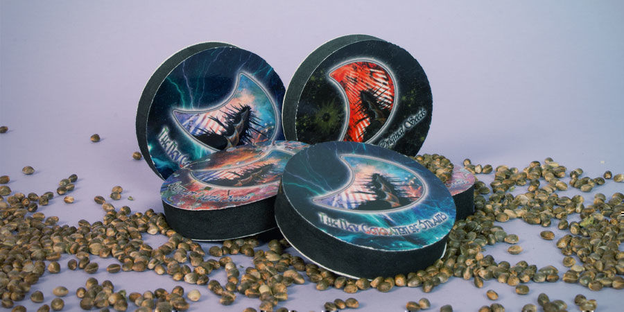 As melhores variedades de canábis da GeneSeeds