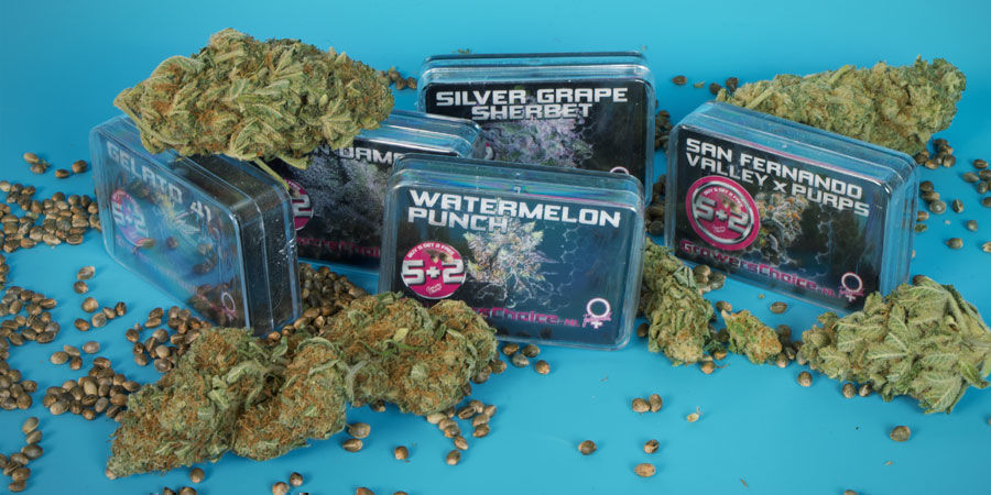 Quem são a Growers Choice?