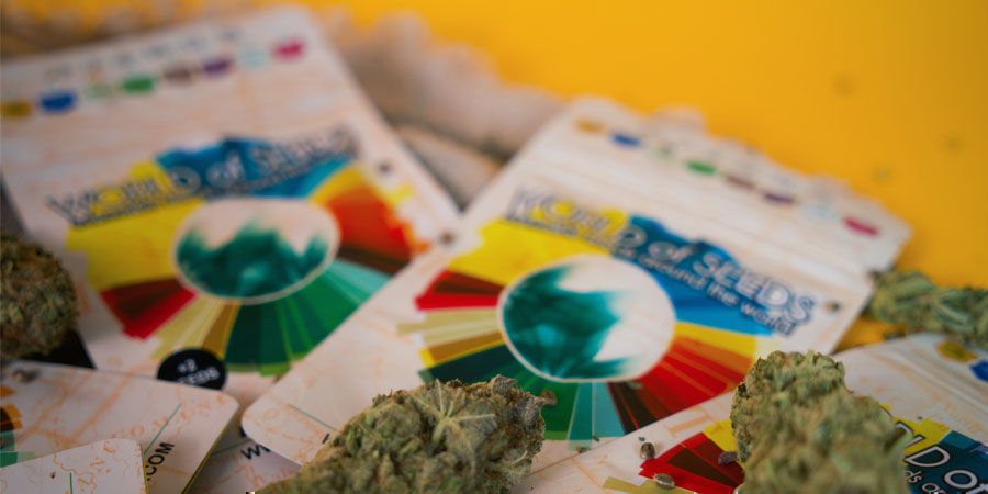 World Of Seeds: Descubra O Mundo Das Sementes Hoje