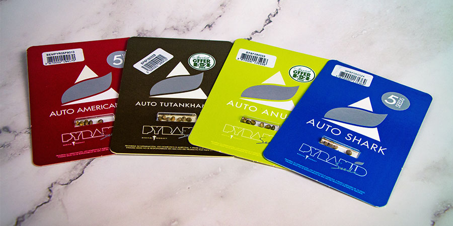 Embalagem Pyramid Seeds