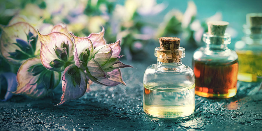 O que são as Dream Herbs? O que são as Dream Herbs?