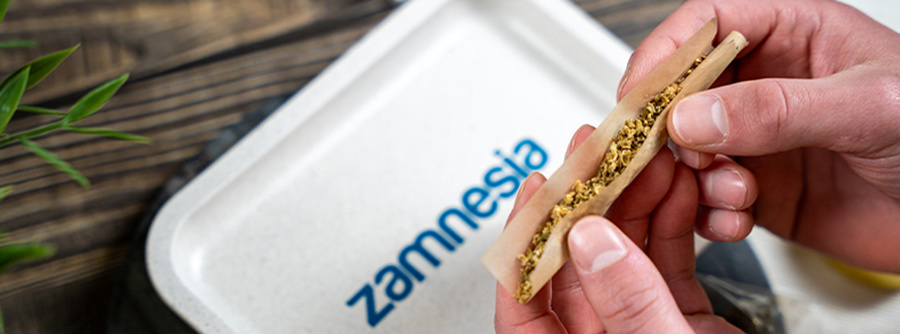 Informação sobre a Headshop da Zamnesia