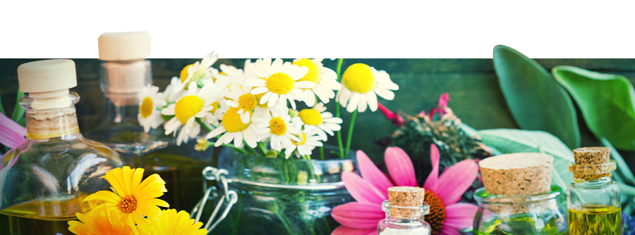 Informação sobre a Smartshop da Zamnesia