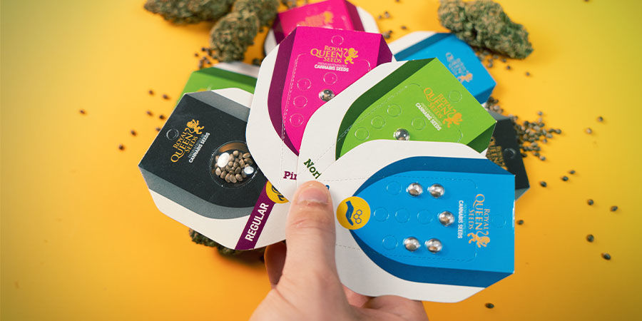 Royal Queen Seeds Good?