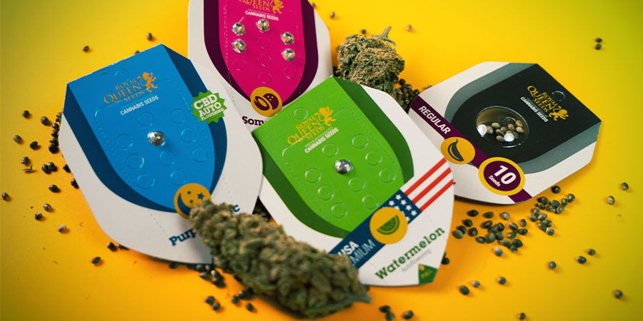 Royal Queen Seeds Vision Mission