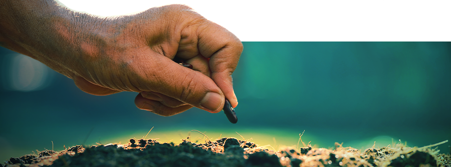 Smart Seeds - Cultive psicadélicos naturais e afrodisíacos antigos em casa