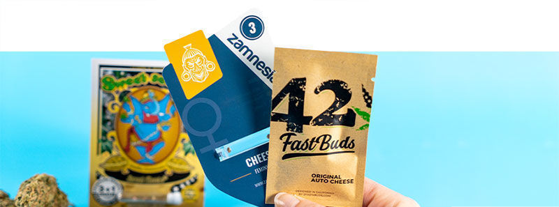 Sobre as variedades Cheese