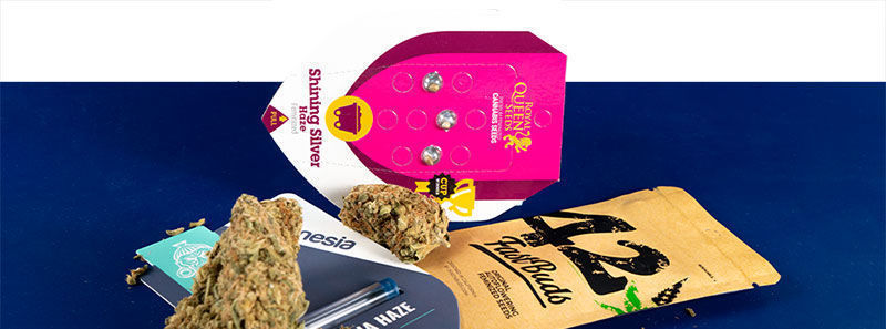 Sobre as variedades Haze