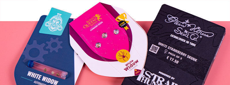 Sobre as variedades White Widow